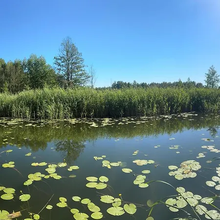 Апартаменты Blizniacza Natura Nad Rzeka, Makosieje